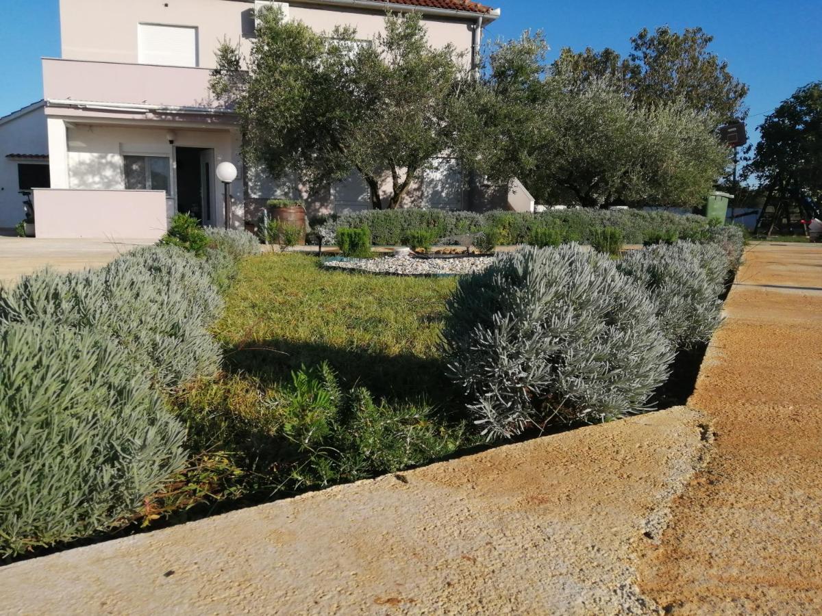 Apartments Zaton Draga Екстериор снимка